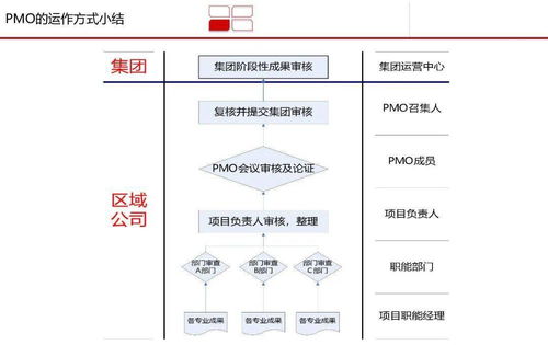 高效 龍湖 pmo 項(xiàng)目管理部 體系研究