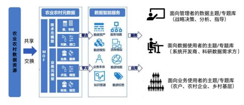 請(qǐng)問數(shù)字鄉(xiāng)村的建設(shè)有沒有啥成功例子了 有沒有人知道